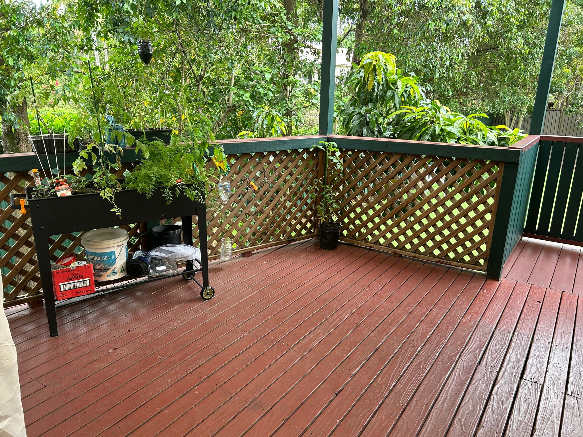 The verandah and veggie garden